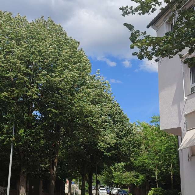 Stop. Weather forecasts with beautiful photos by Tercis Photos in Ettlingen