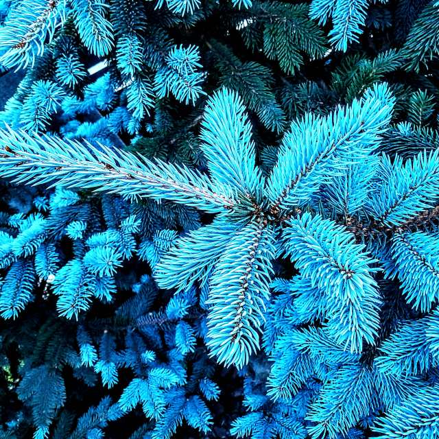 Animal. Weather forecasts with beautiful photos by Wiesiek Photos in Gdansk