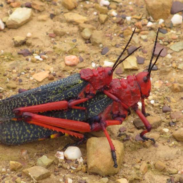 天气预报，带Step_Gently精美的照片