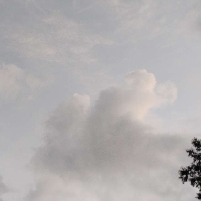 Kite. Weather forecasts with beautiful photos by Awcat Photos in Riverwalk Parkway