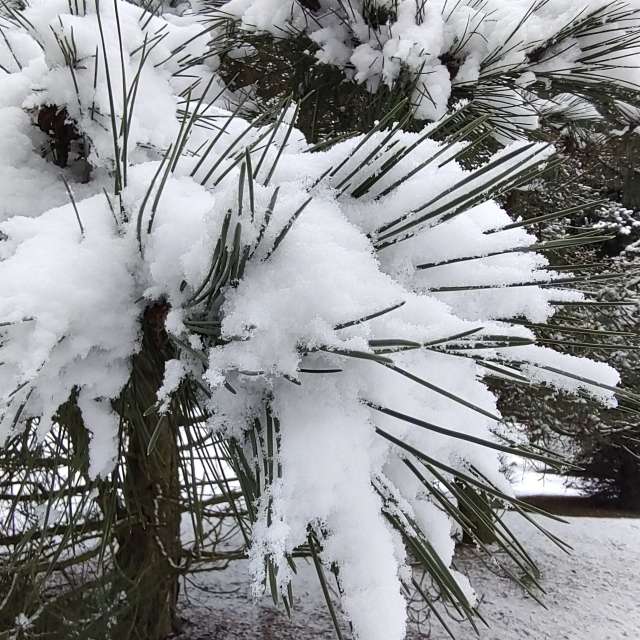Fotos Clima. Previsões do tempo com lindas fotos de drollted em Česká Třebová