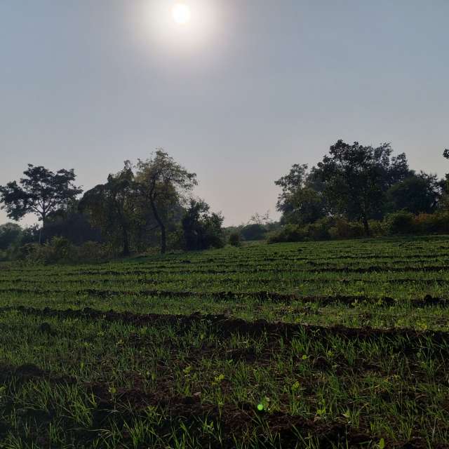 Pasture. Weather forecasts with beautiful photos by Ohm_1956 Photos in World