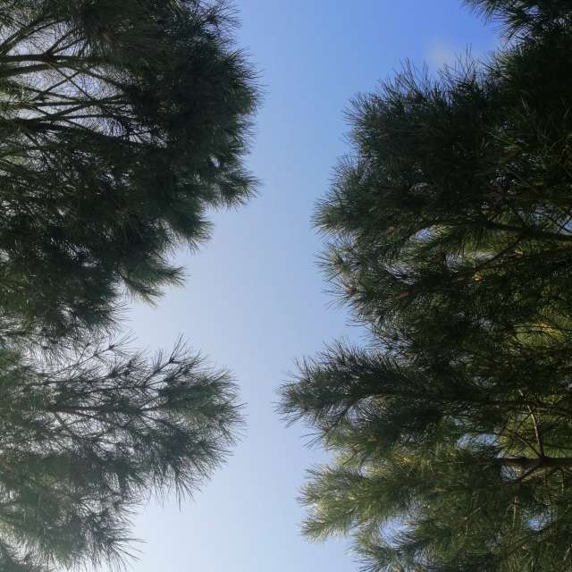 Weather forecasts with beautiful photos by Jess88