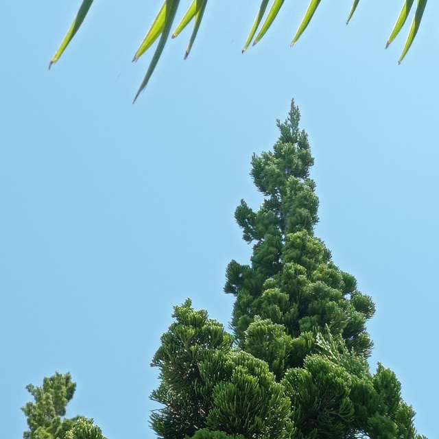 Прогнозы погоды с чудесными фотографиями, сделанными fernanda24h