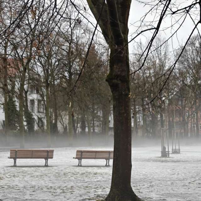 RoDi-zignの美しい写真による天気予報