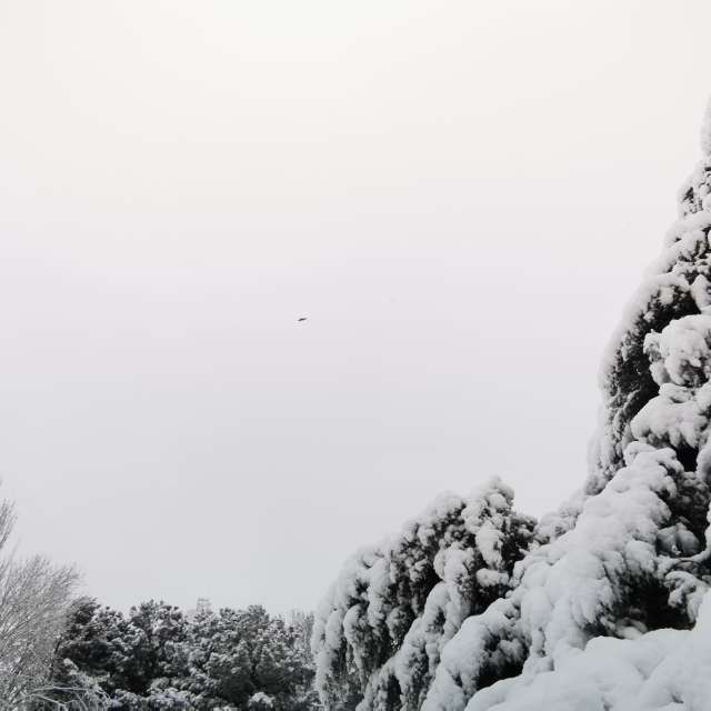 Wettervorhersagen mit schönen Fotos von nox