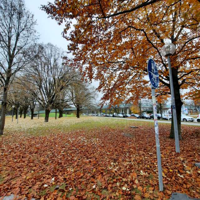 Weather forecasts with beautiful photos by Leilafb