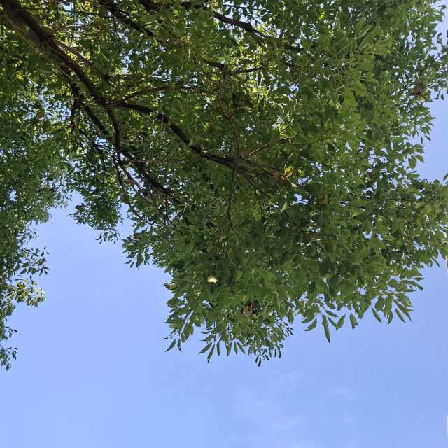 Photos Facile. Prévisions météo avec de superbes photos de Wen-ya Huang de Kaohsiung