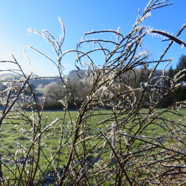 Weather forecasts with beautiful photos by MariePhotos