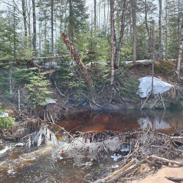 Weather forecasts with beautiful photos by NorthernMichiganBeauty