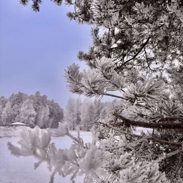 Weather forecasts with beautiful photos by Ewwa393