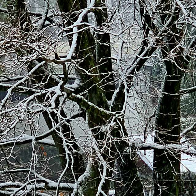 Jung. Wettervorhersagen mit schönen Fotos von Seni Fotos Velbert