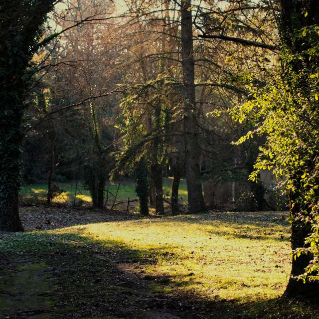 Weather forecasts with beautiful photos by tony5636