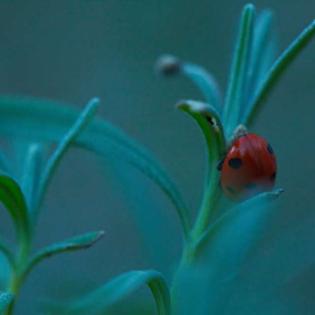 Weather forecasts with beautiful photos by martinm611