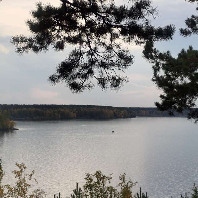 天气预报，带Lara357精美的照片