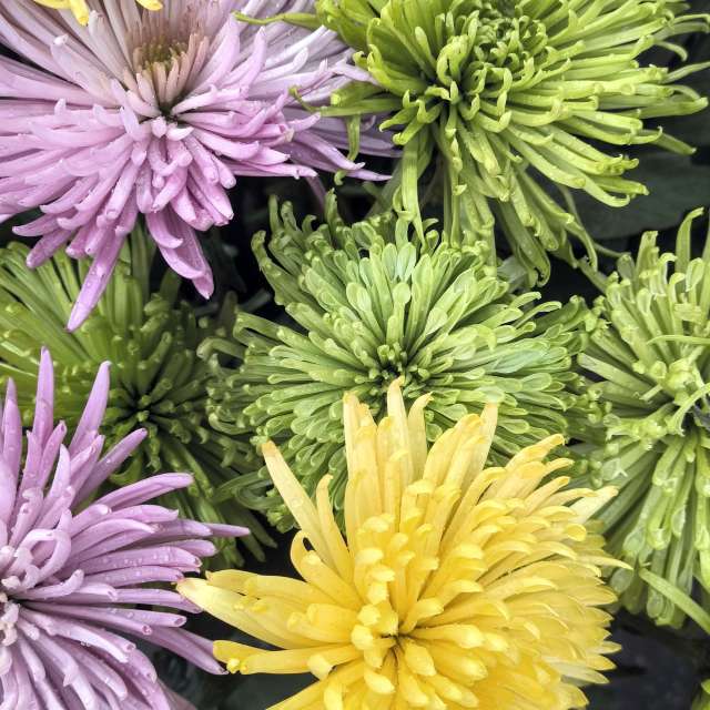 Fotos del Mar. Pronósticos del tiempo con hermosas fotos de YanBog en Strada Bozieni 6