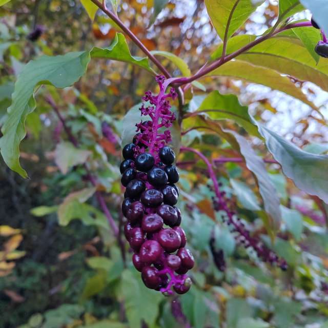 Wettervorhersagen mit schönen Fotos von Albert_Smelovtsev