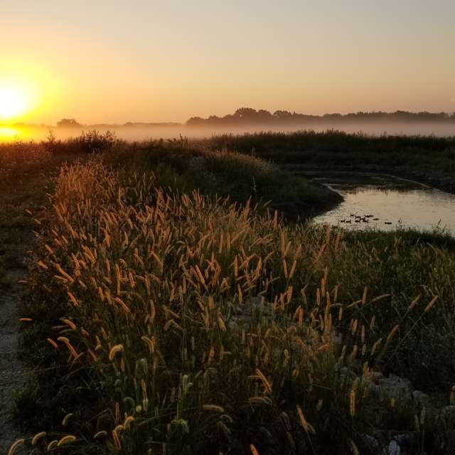 天气预报，带AgentTomcat精美的照片