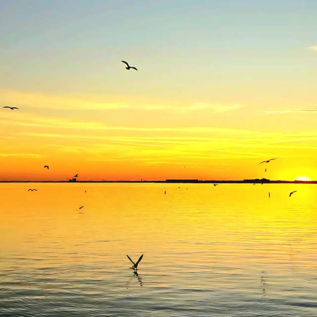 Weather forecasts with beautiful photos by jJaycox