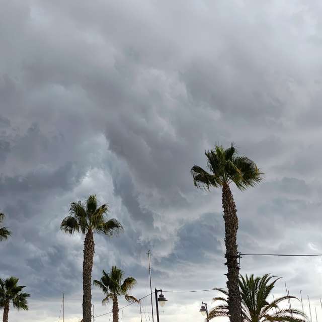 天气预报，带MSLidon精美的照片