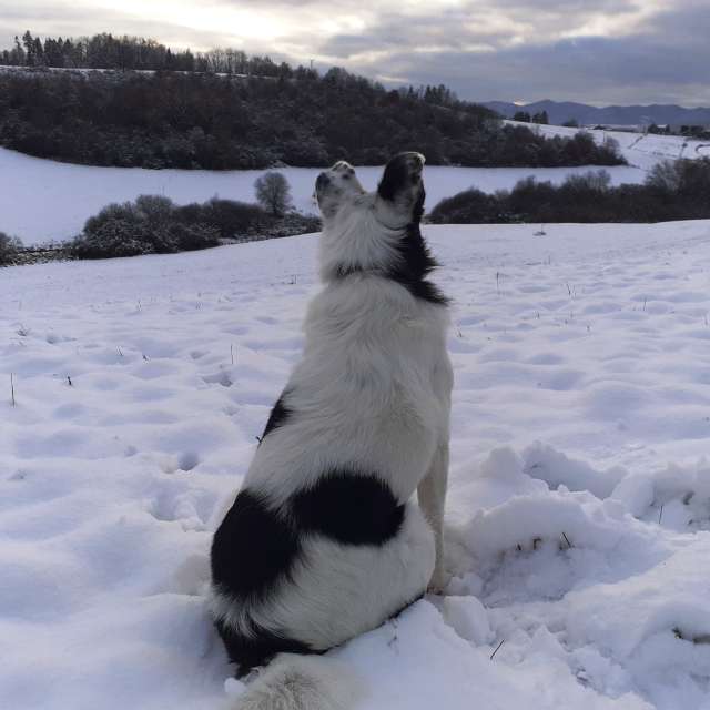 Polar. Weather forecasts with beautiful photos by Marcela Cervenakova Photos in World