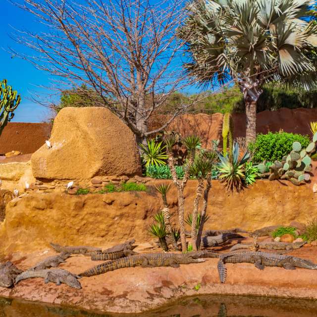 Zoo. Weather forecasts with beautiful photos by czach Photos in World