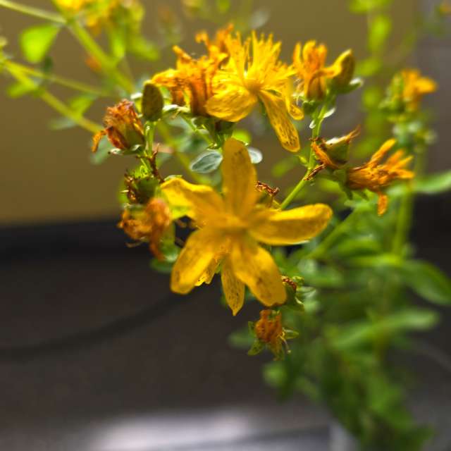 Fotos Escrivaninha. Previsões do tempo com lindas fotos de Seni em Velbert