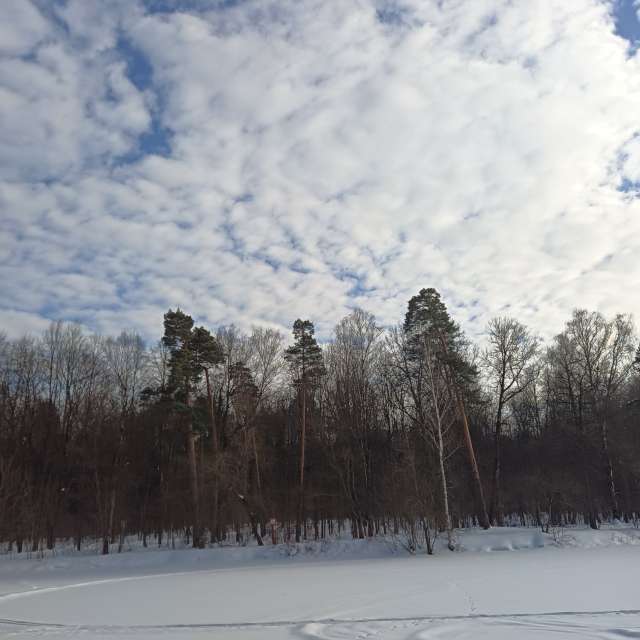 Group. Weather forecasts with beautiful photos by Amanda_and_Valdemar_Che Photos in Izmaylovo District