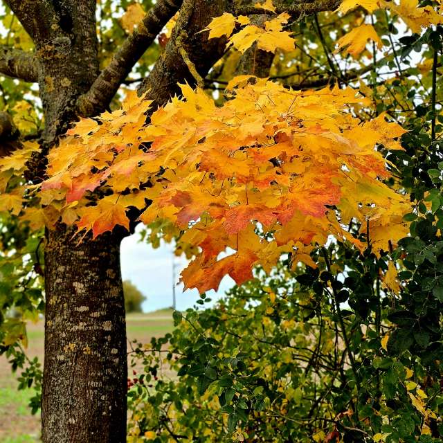 Jesen. Wettervorhersagen mit schönen Fotos von Hela Fotos Bayern
