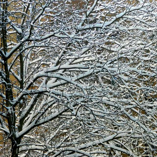 Прогнозы погоды с чудесными фотографиями, сделанными ConstantinR