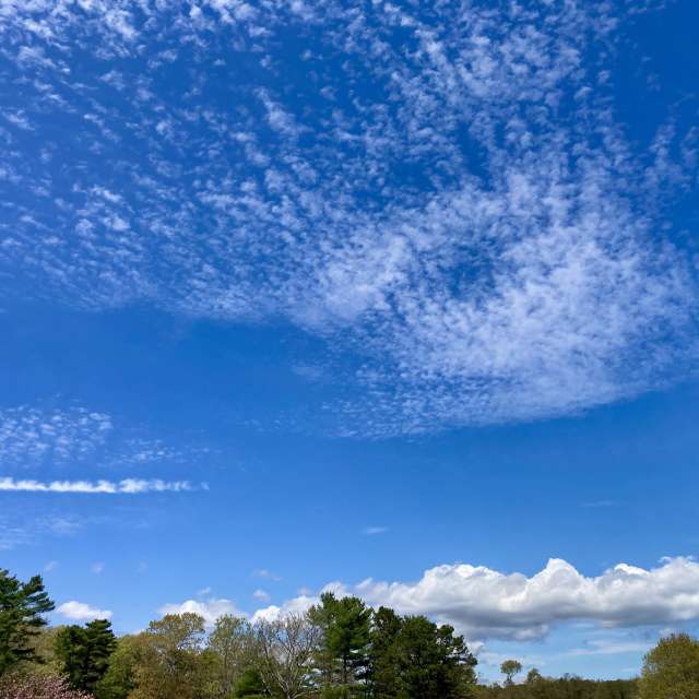 Fotos del Pasto. Pronósticos del tiempo con hermosas fotos de prairiesands en Cape Cod