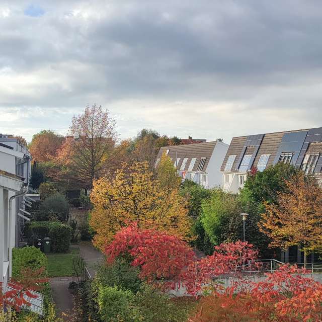 Railway. Weather forecasts with beautiful photos by Tercis Photos in Ettlingen