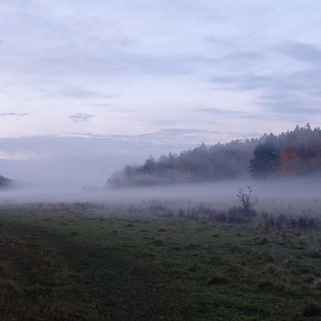 Weather forecasts with beautiful photos by uppsalaunge