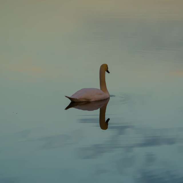 Day. Weather forecasts with beautiful photos by Nebula_andNature Photos in World