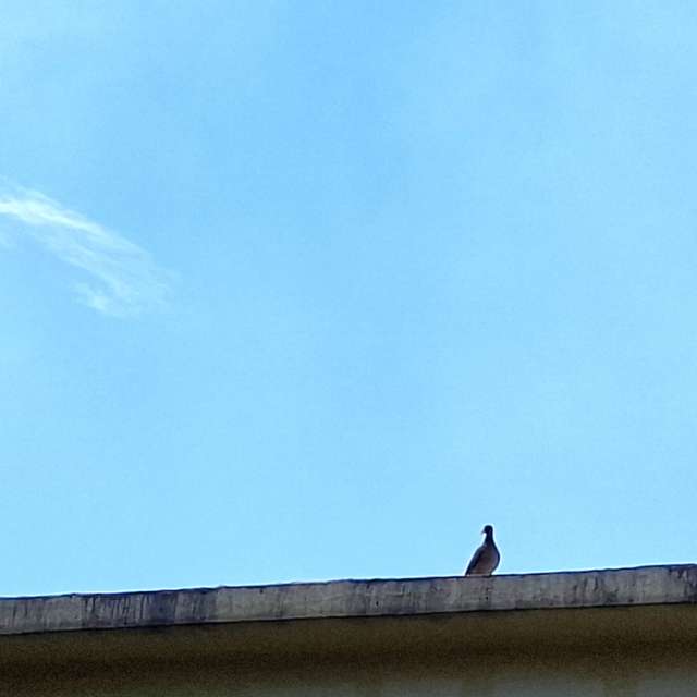 Clock. Weather forecasts with beautiful photos by Wen-ya Huang Photos in Kaohsiung City