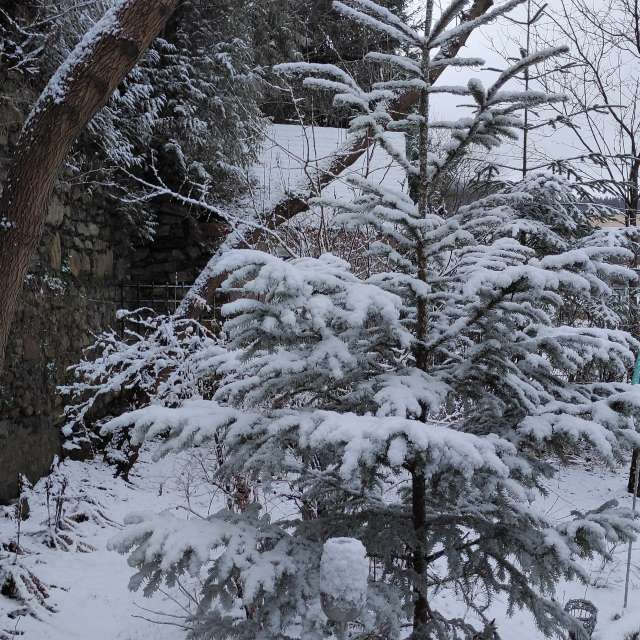 Springen. Wettervorhersagen mit schönen Fotos von Kripo Fotos Ladek Zdroj