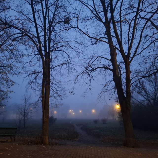 Distance. Weather forecasts with beautiful photos by Iryna Photos in Kharkiv