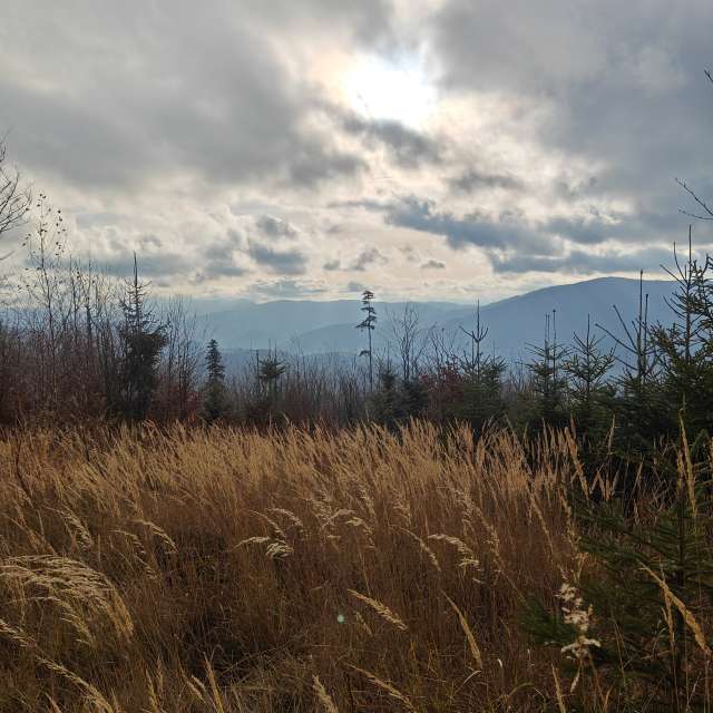 Weather forecasts with beautiful photos by zjabri