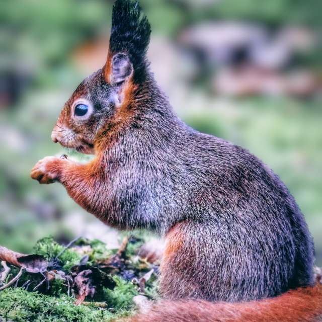Lotti5507の美しい写真による天気予報