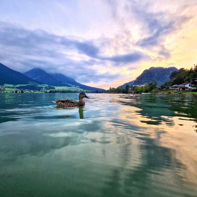 Weather forecasts with beautiful photos by deine_augenblicke_tirol