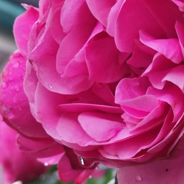 Allersberg的Weather. 天气预报，带Brtd精美的照片照片