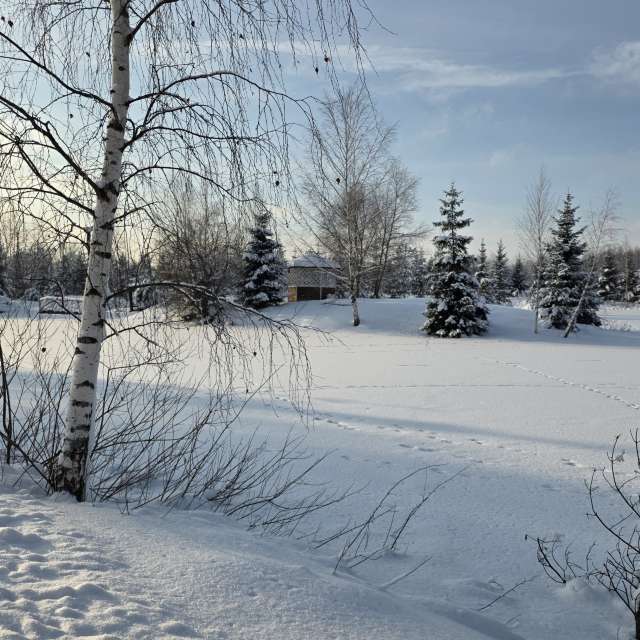 Stroganov_4の美しい写真による天気予報