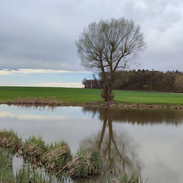 accoteの美しい写真による天気予報