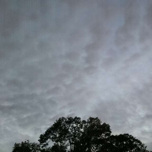 Fotos del Vapor. Pronósticos del tiempo con hermosas fotos de YanBog en București