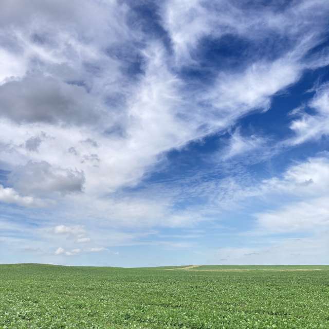 Fotos Homem. Previsões do tempo com lindas fotos de prairiesands em Cansas