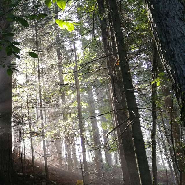 Прогнозы погоды с чудесными фотографиями, сделанными Ebpaul74