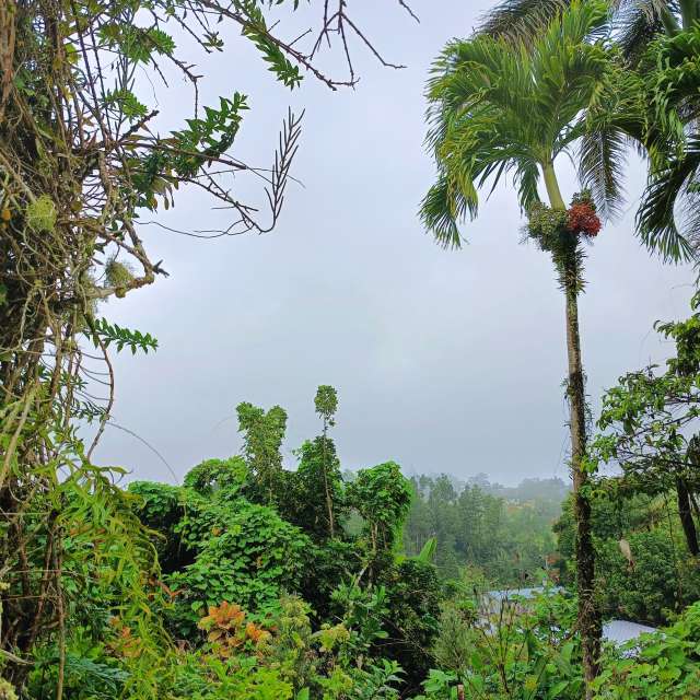 Previsões do tempo com lindas fotos de lcruz23