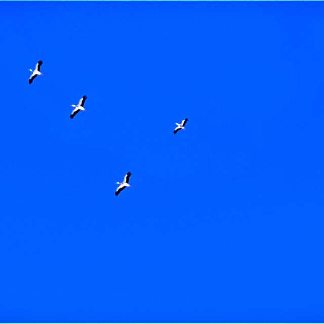 Прогнозы погоды с чудесными фотографиями, сделанными RUMBASTER