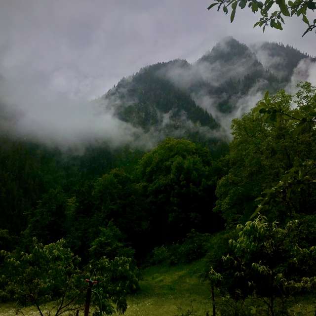 天气预报，带svanskay精美的照片