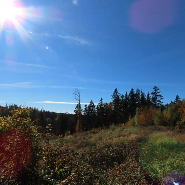 天气预报，带Sviatoslav精美的照片